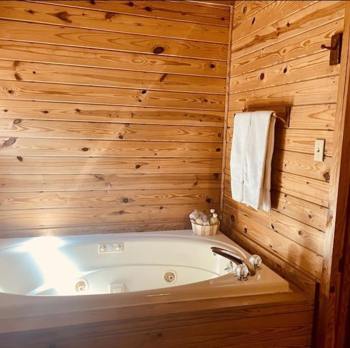 Rustic Black Bear Cabin Pigeon Forge Exterior photo